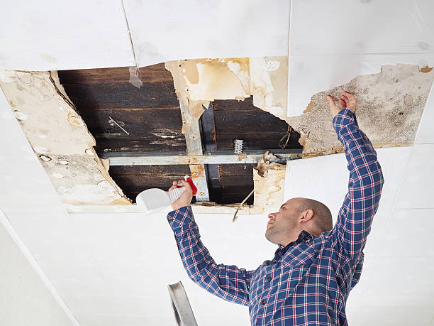 Mold Remediation for Rental Properties